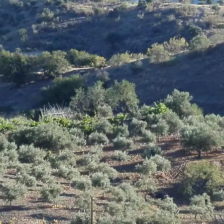 Cortijo Rural Gonzalez