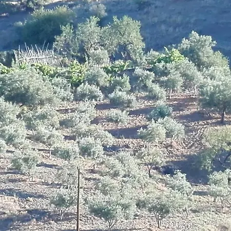 山林小屋 Cortijo Rural Gonzalez 林孔-德拉维多利亚