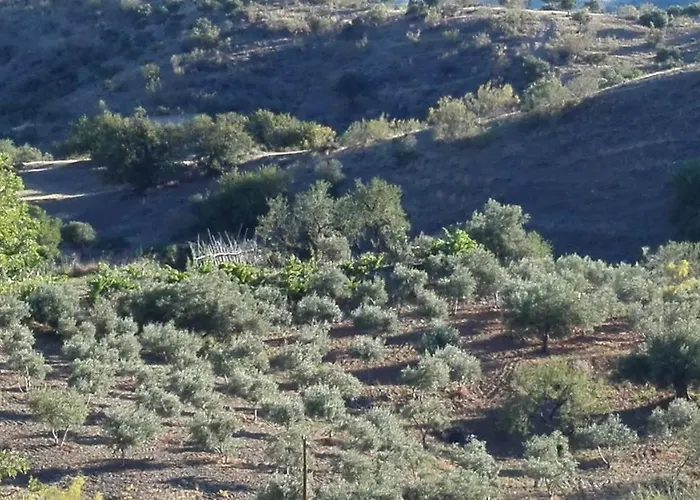 Cortijo Rural Gonzalez