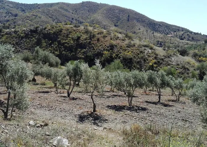 Cortijo Rural Gonzalez Rincón de la Victoria